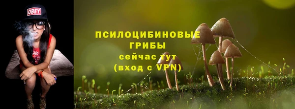 дмт Абдулино