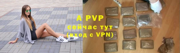 твердый Абаза