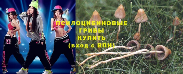 дмт Абдулино