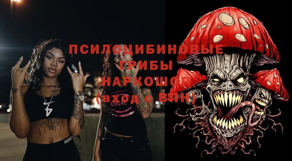 твердый Абаза