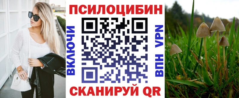 Галлюциногенные грибы Psilocybe  хочу наркоту  Невельск 